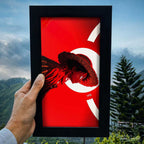 luffy Crimson Resolve Wall Frame #0045